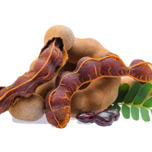 Tamarind (Ukwaju)